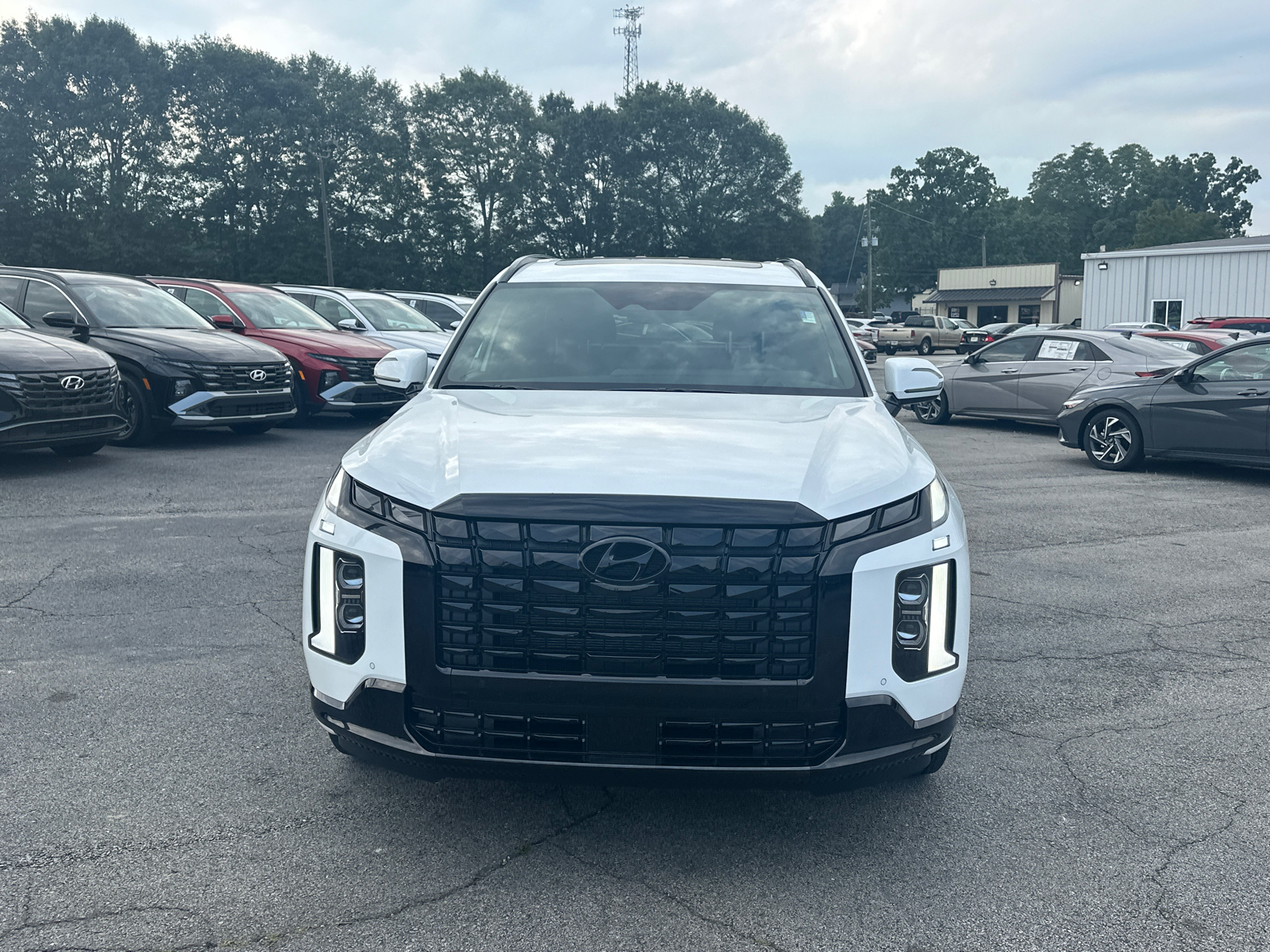 2025 Hyundai Palisade Calligraphy Night Edition 2