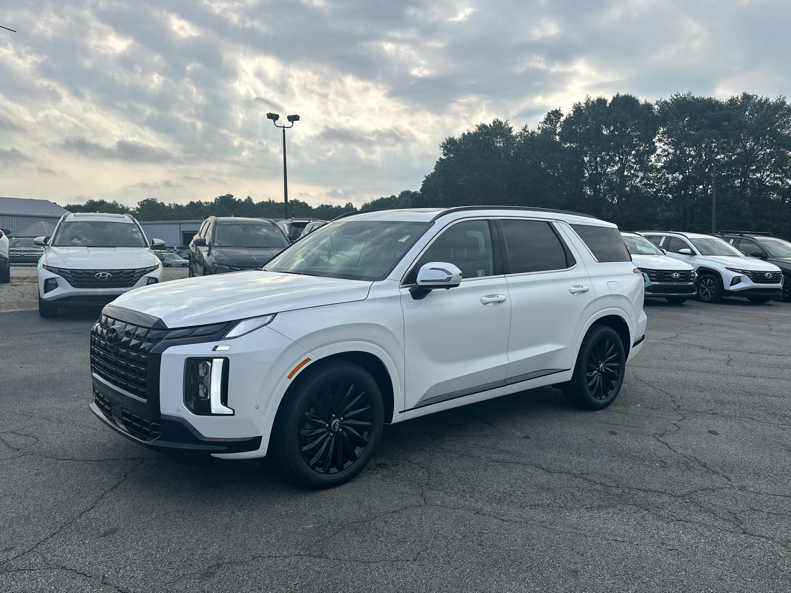 2025 Hyundai Palisade Calligraphy Night Edition 3