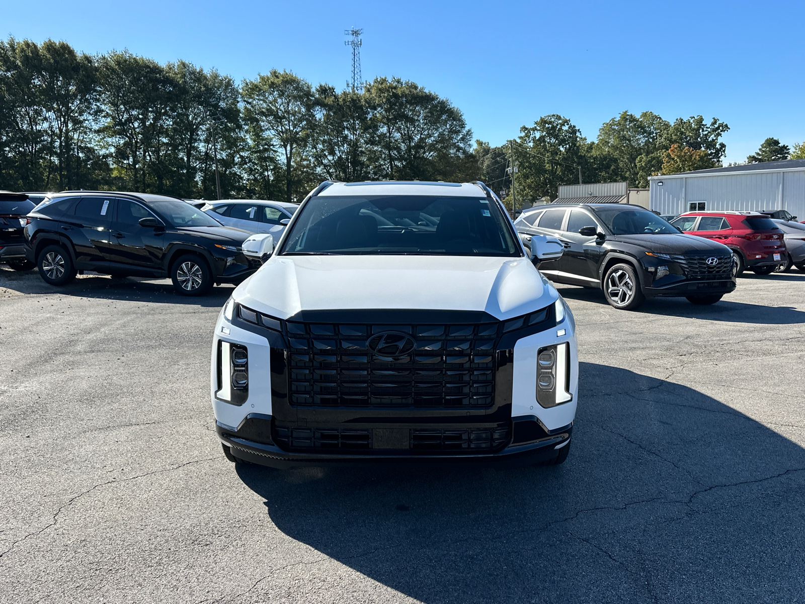 2025 Hyundai Palisade Calligraphy Night Edition 2