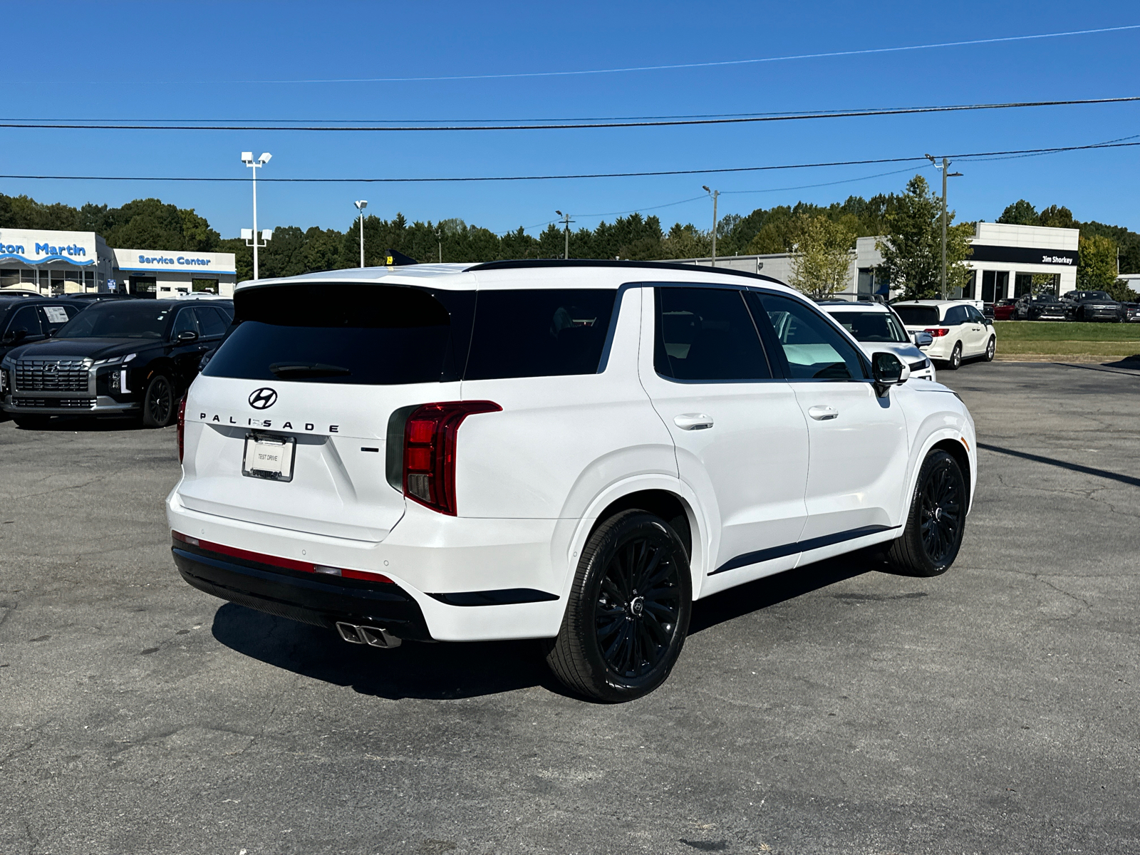 2025 Hyundai Palisade Calligraphy Night Edition 7