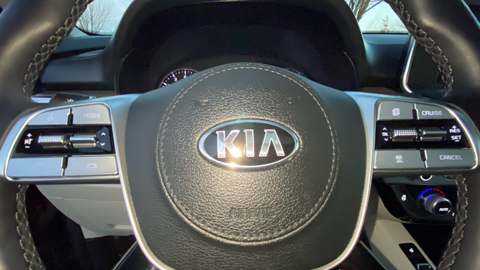 2021 Kia Telluride SX 14