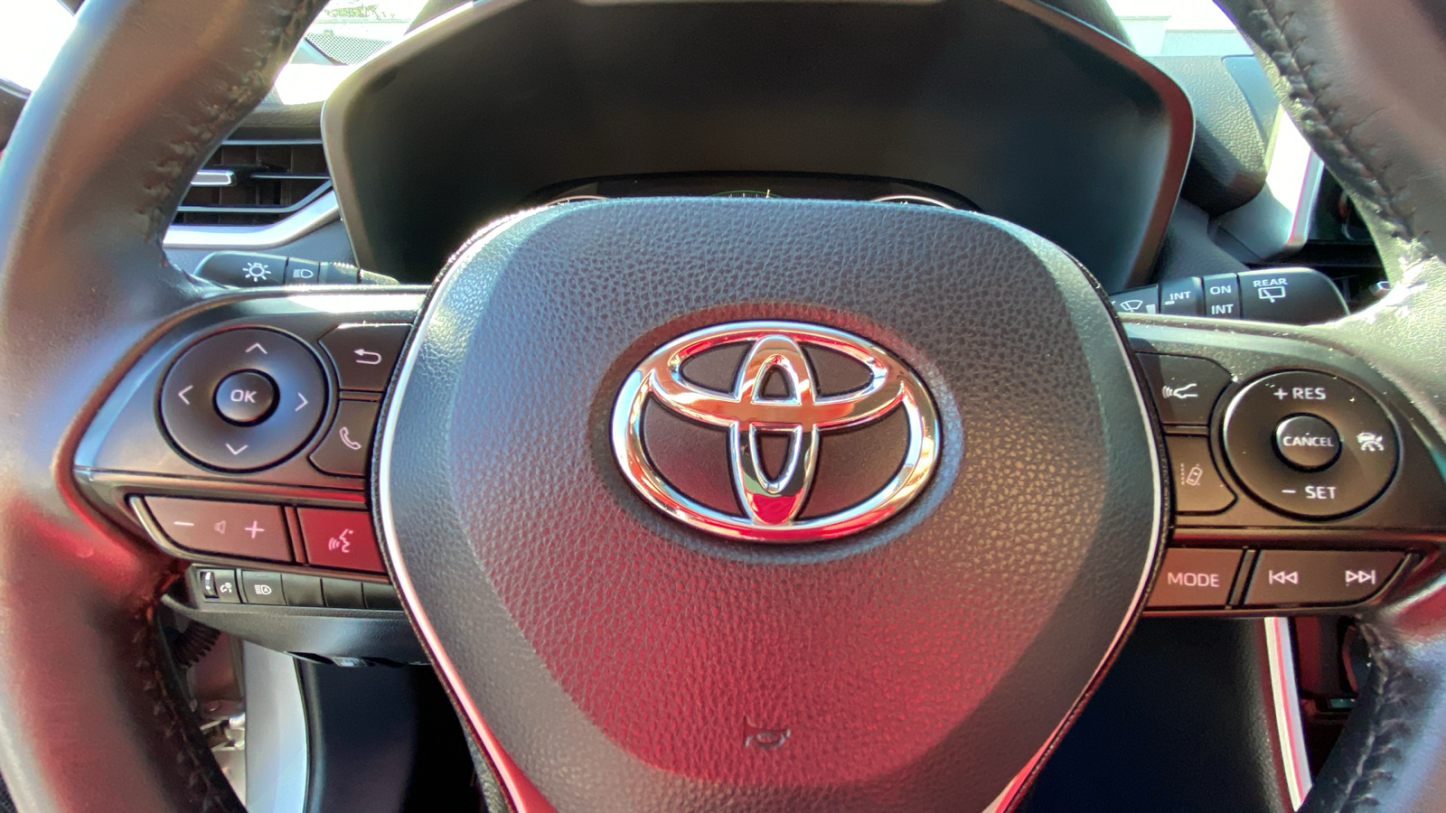 2019 Toyota RAV4 Limited 17