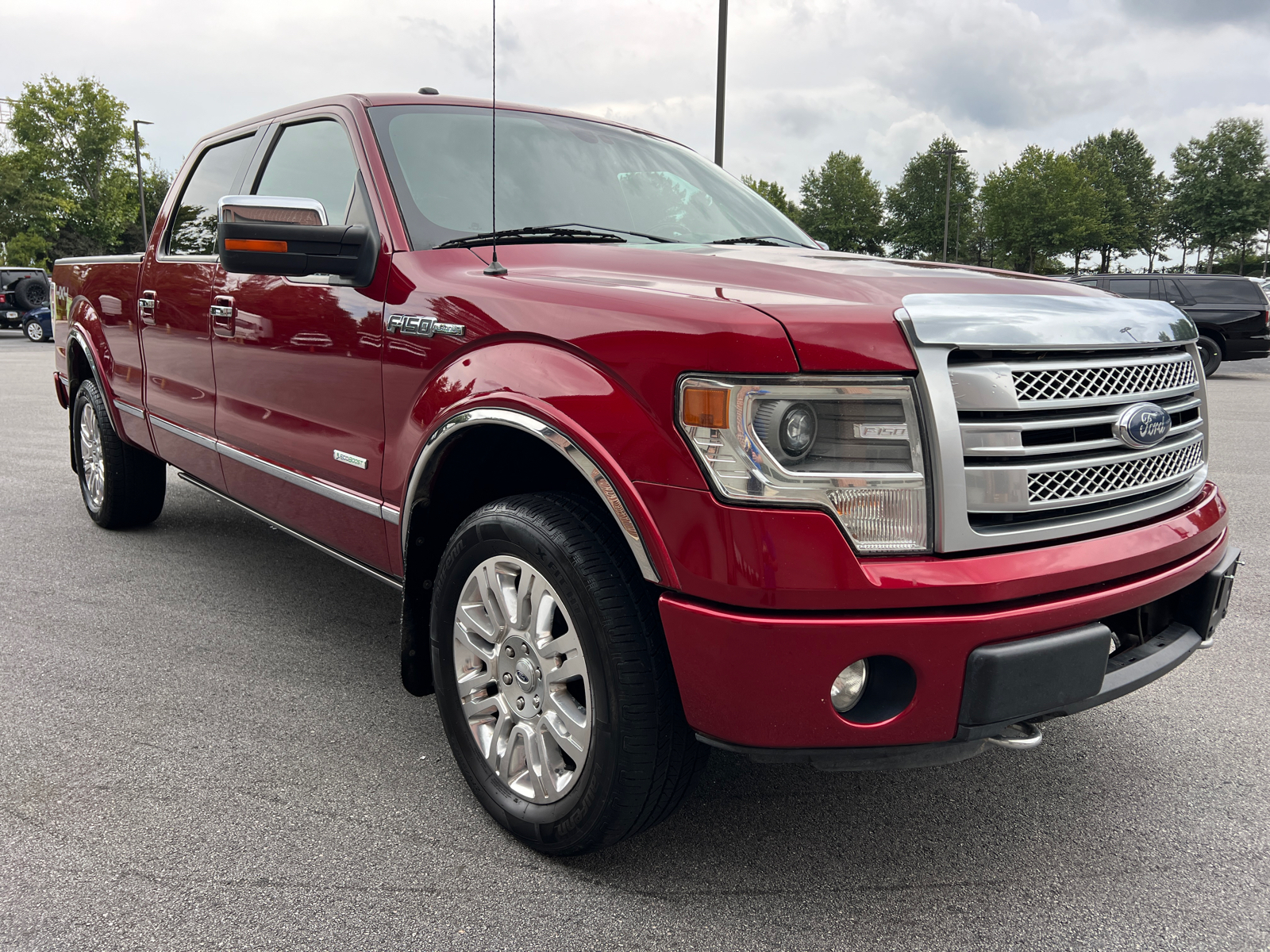 2013 Ford F-150 Platinum 3