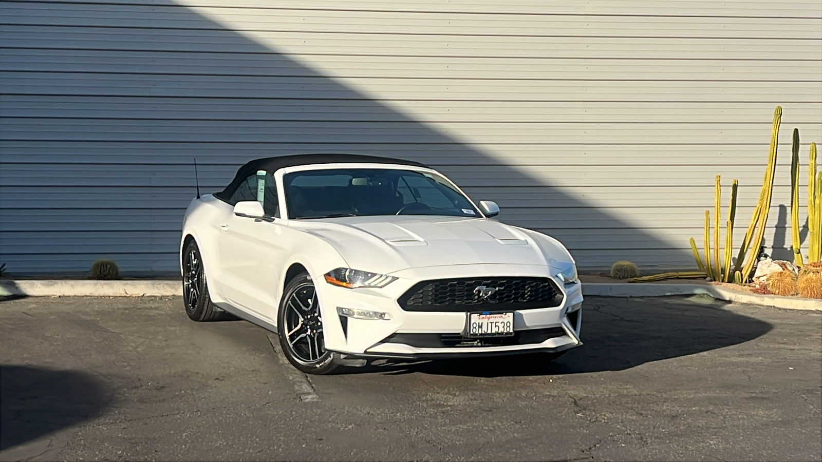 2019 Ford Mustang EcoBoost Premium 1