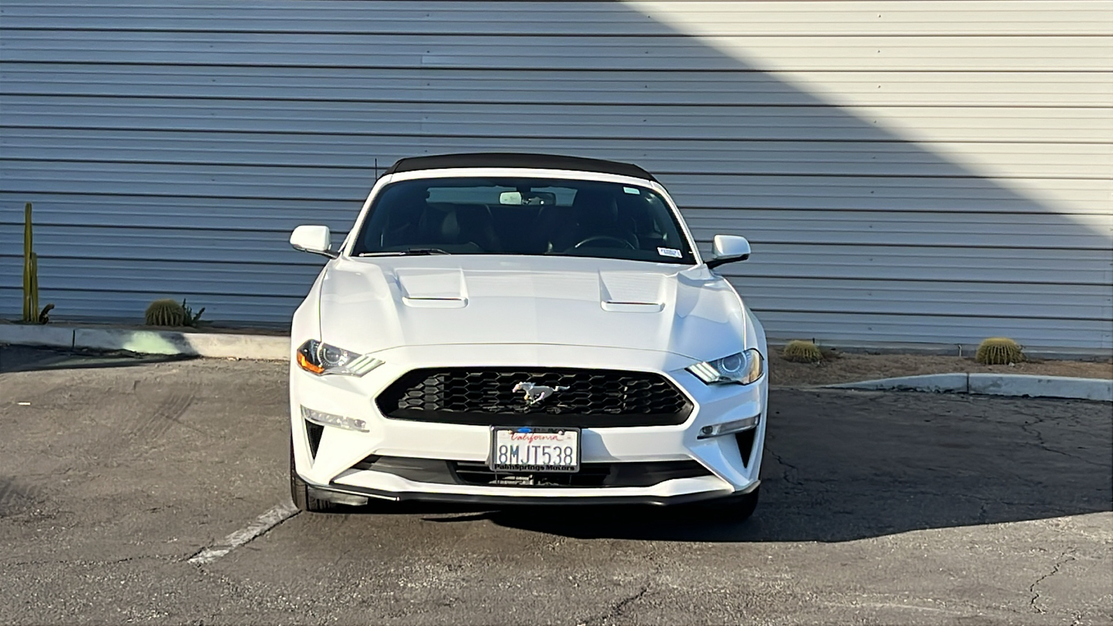 2019 Ford Mustang EcoBoost Premium 2