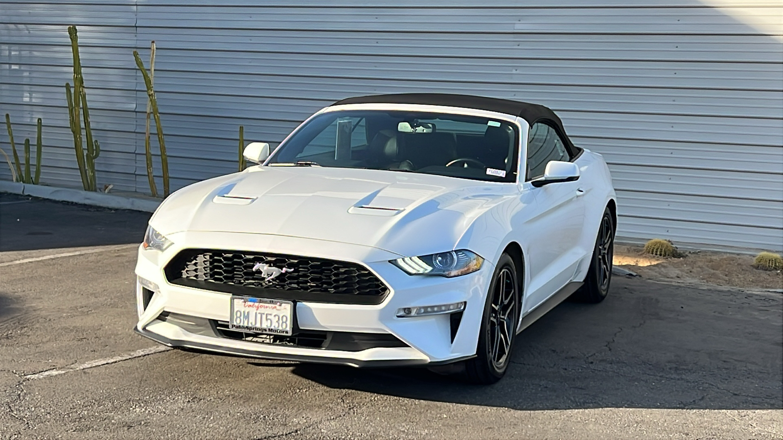 2019 Ford Mustang EcoBoost Premium 3