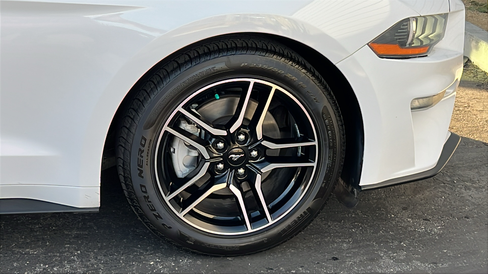 2019 Ford Mustang EcoBoost Premium 12