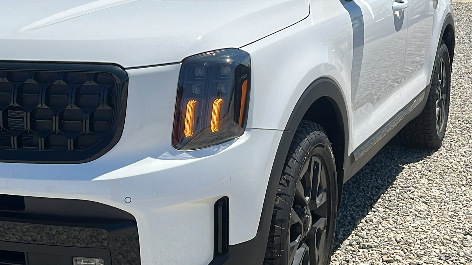 2024 Kia Telluride SX-Prestige X-Line 4