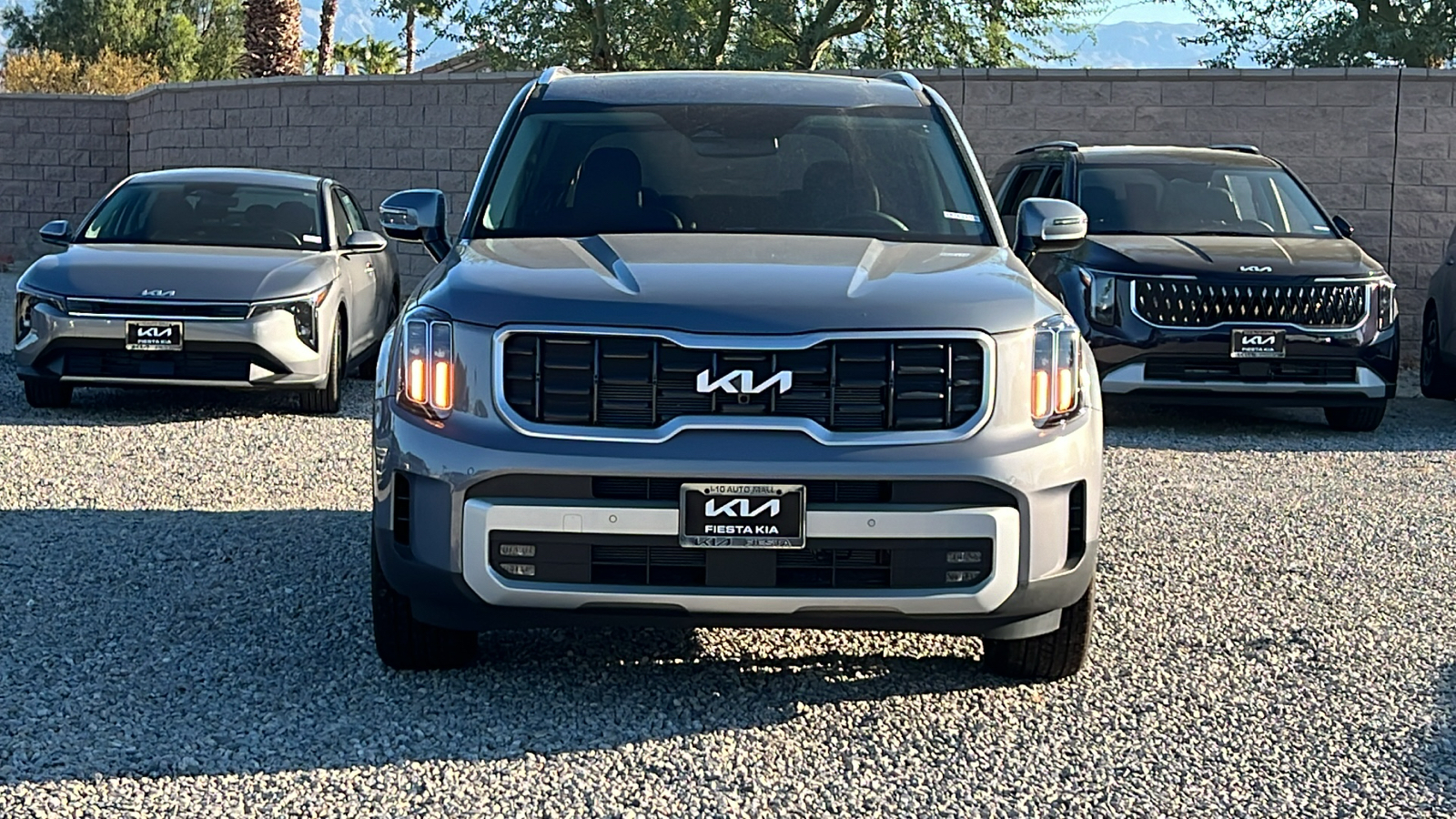 2024 Kia Telluride SX 2