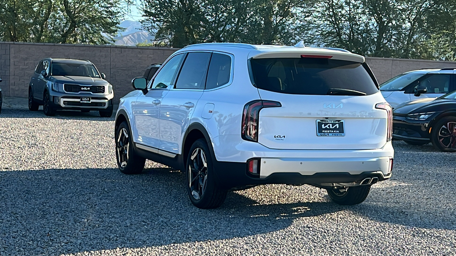 2024 Kia Telluride EX 6