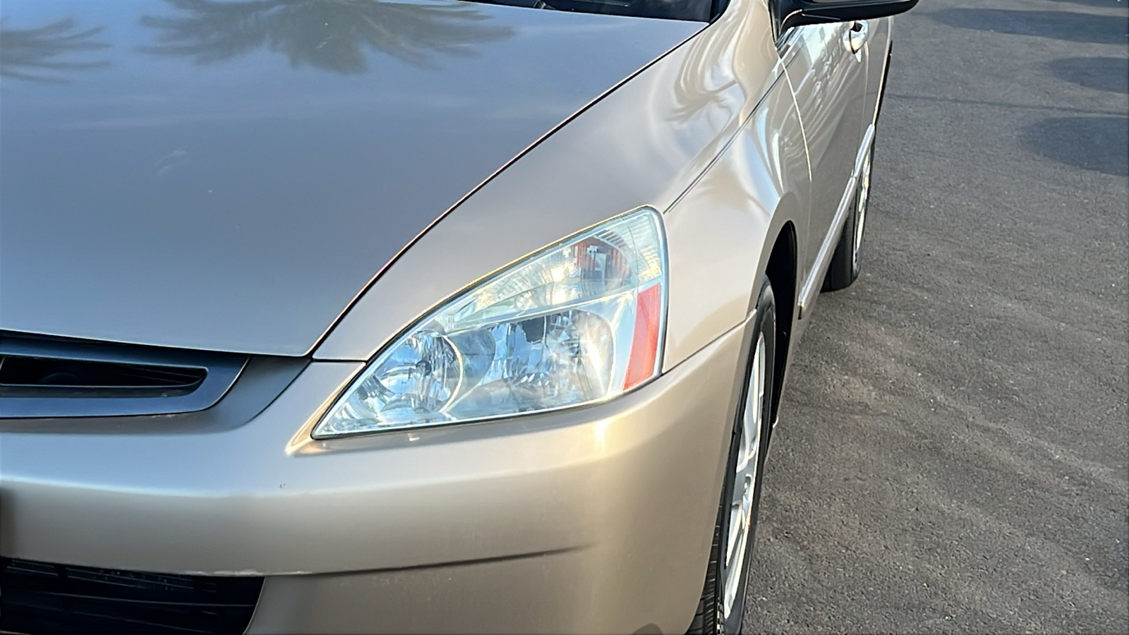 2005 Honda Accord EX-L 7