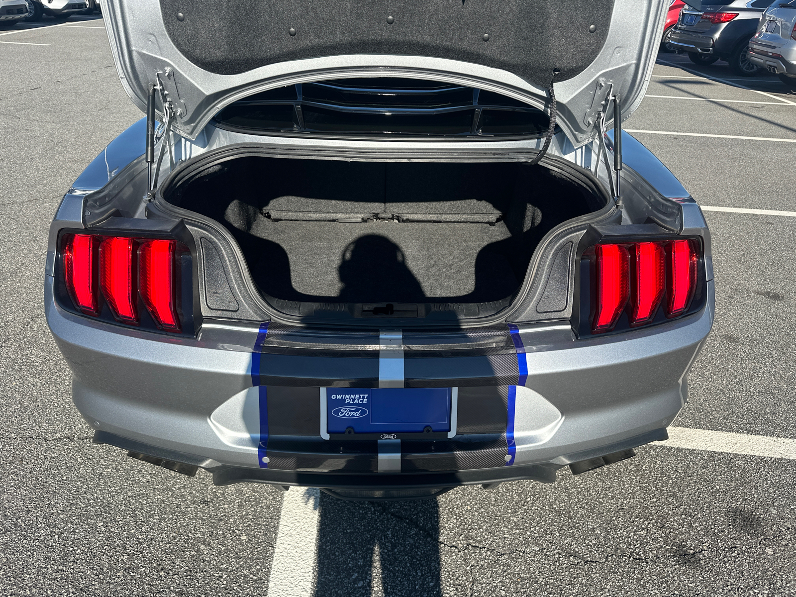 2021 Ford Mustang GT Premium 17