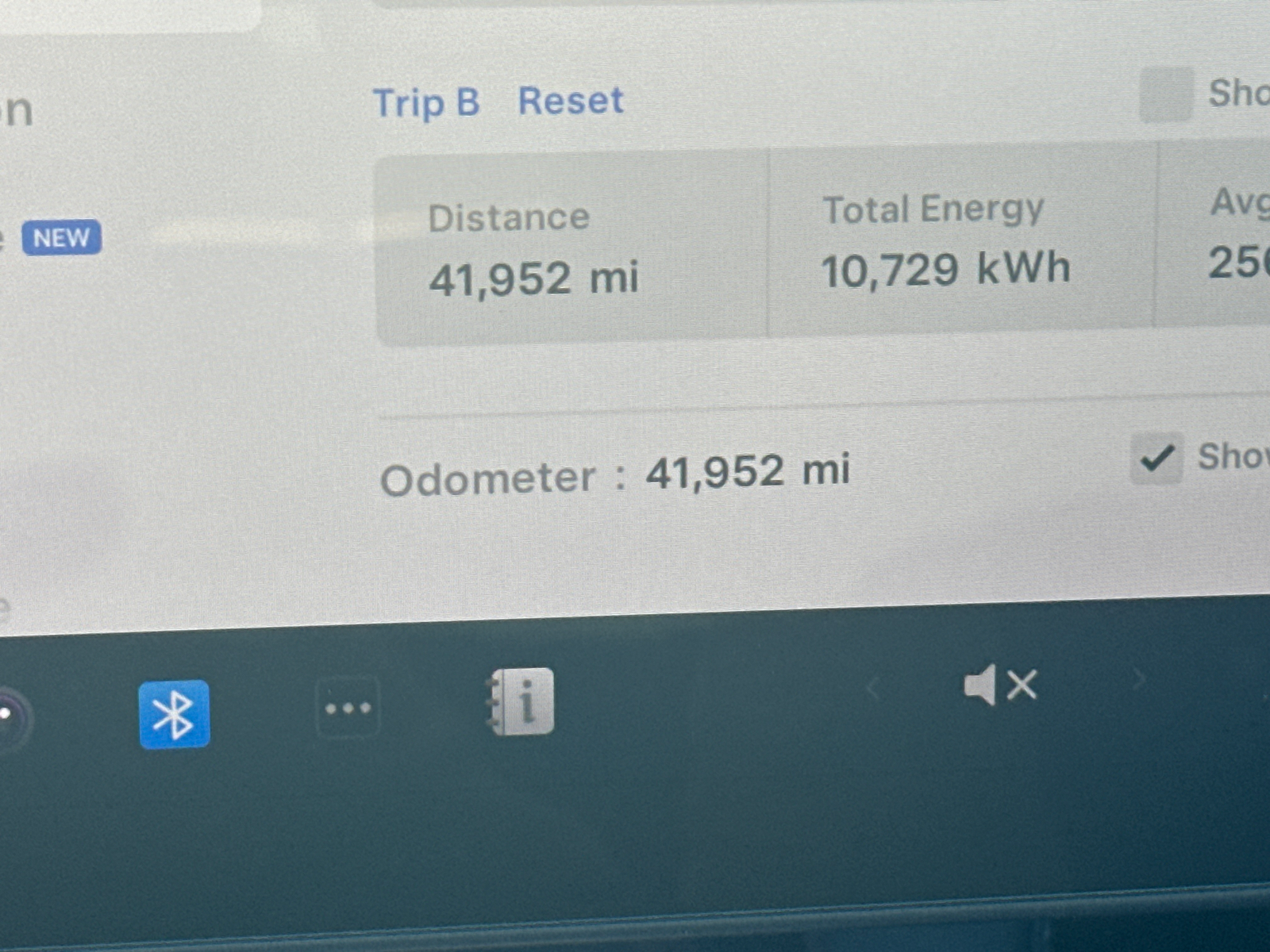 2021 Tesla Model 3 Performance 29