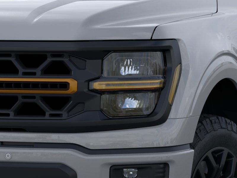 2024 Ford F-150 Tremor 17