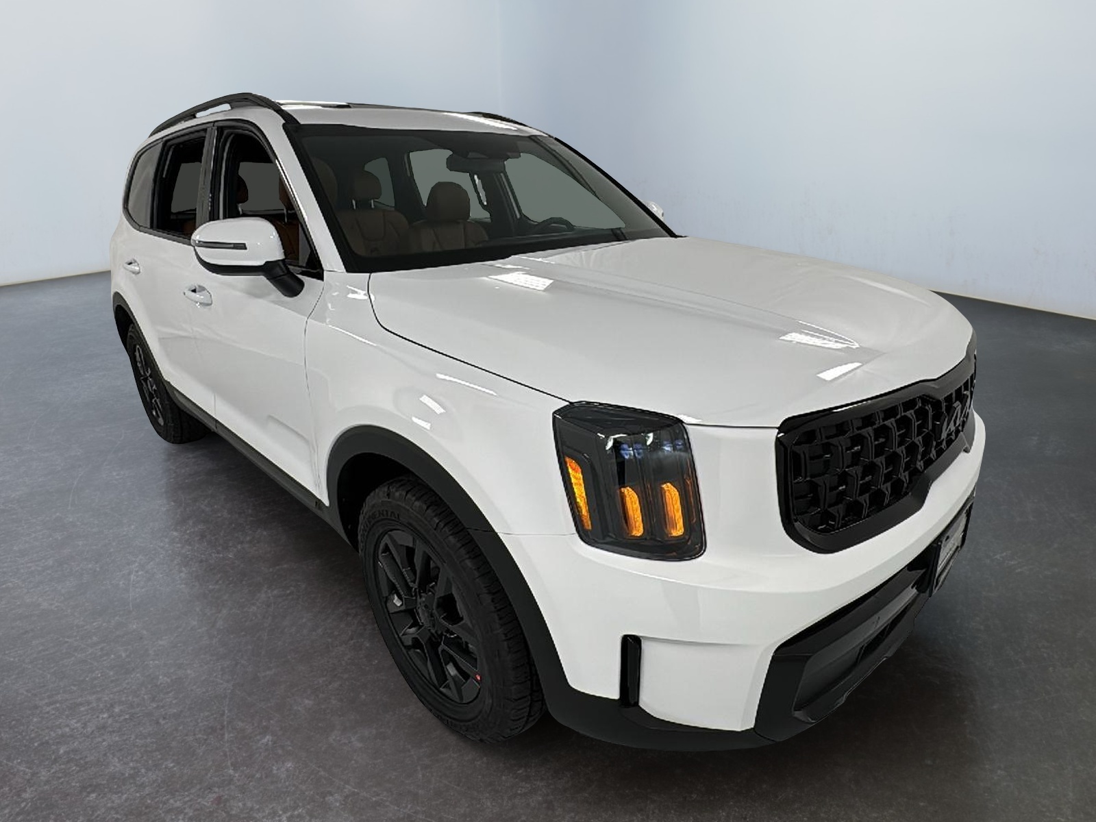 2025 Kia Telluride EX 1