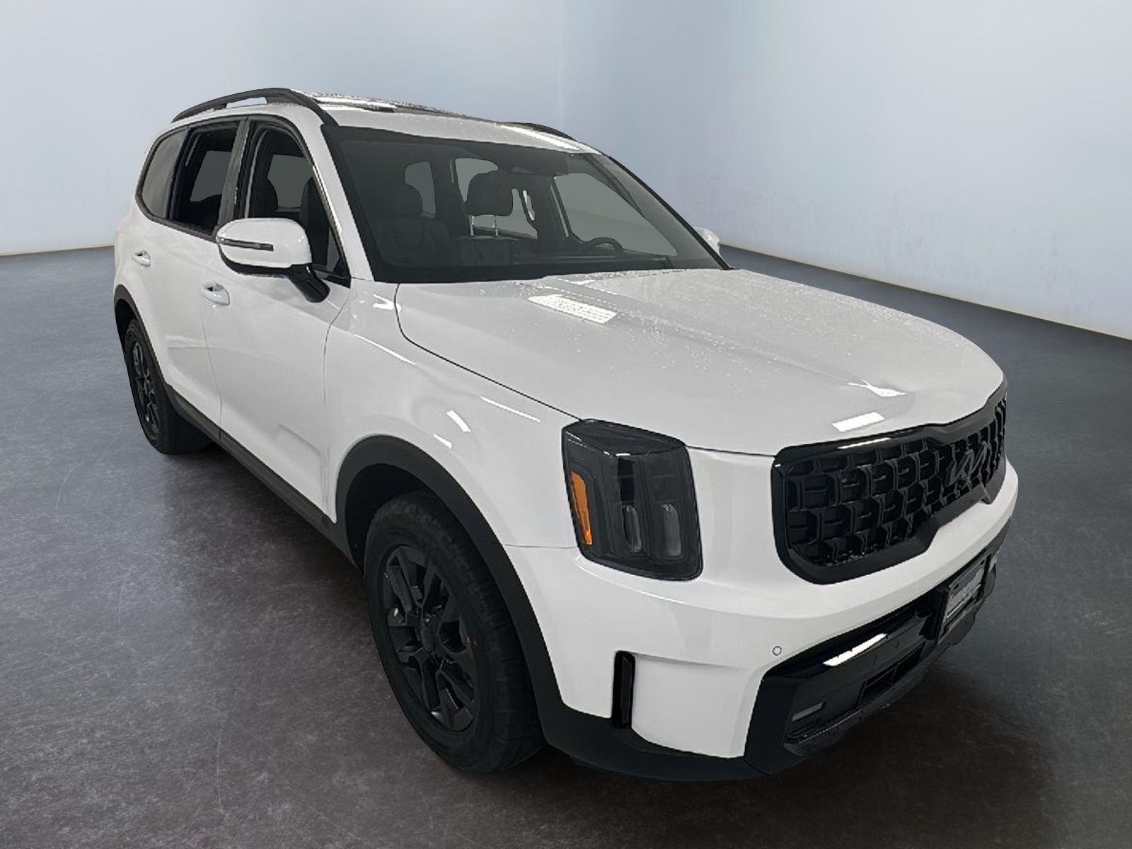 2025 Kia Telluride SX-Prestige X-Pro 1