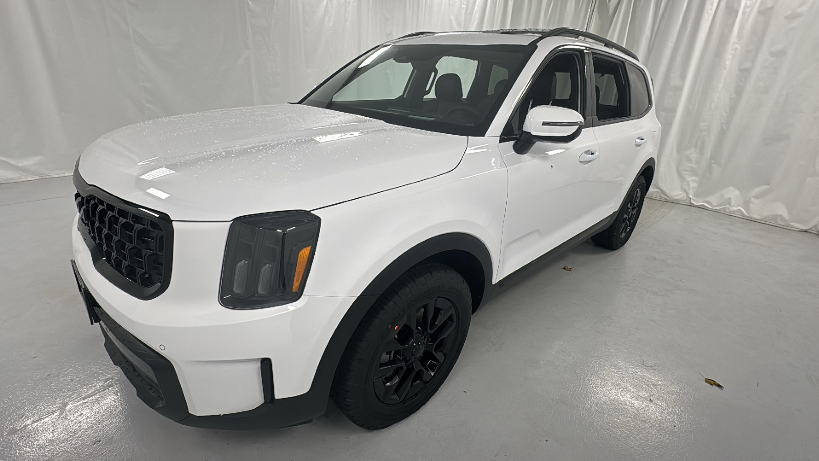 2025 Kia Telluride SX-Prestige X-Pro 7