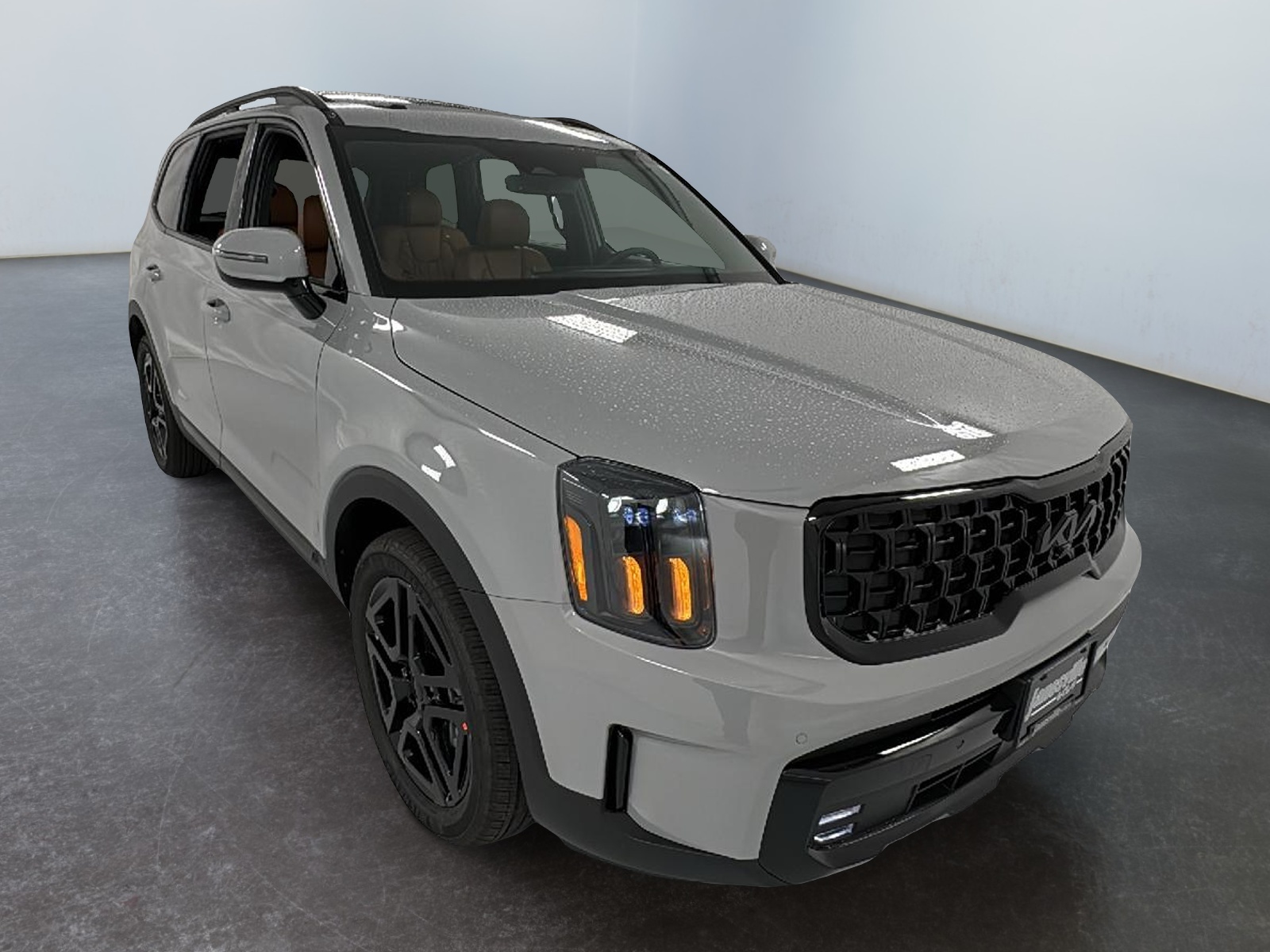 2025 Kia Telluride SX X-Line 1