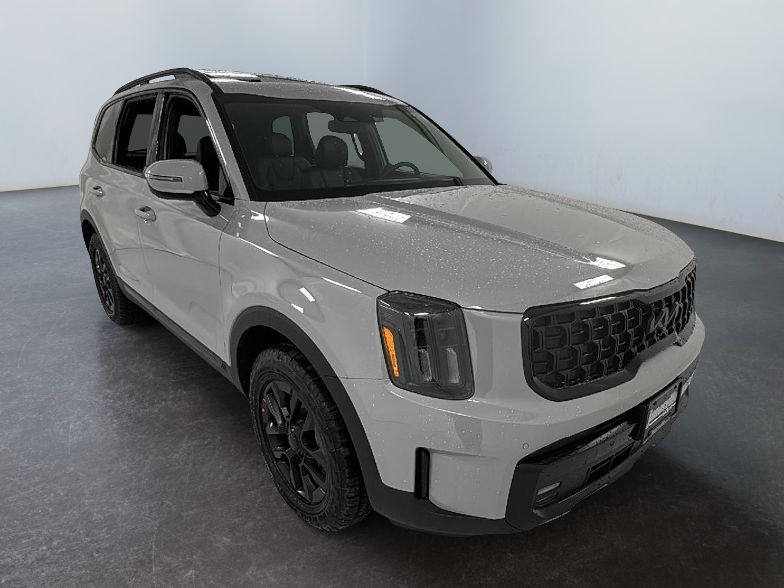 2025 Kia Telluride SX-Prestige X-Pro 1