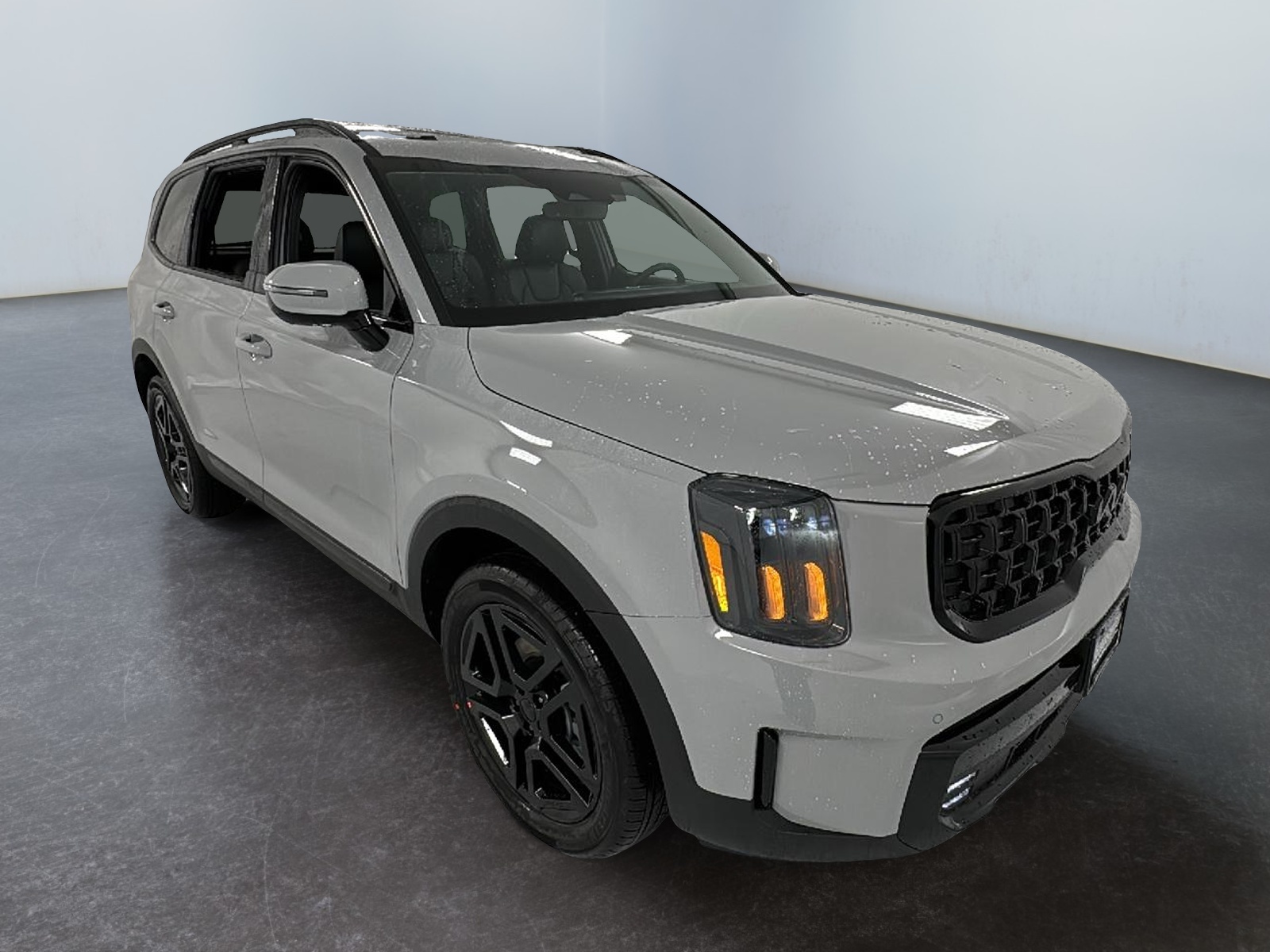 2025 Kia Telluride SX X-Line 1