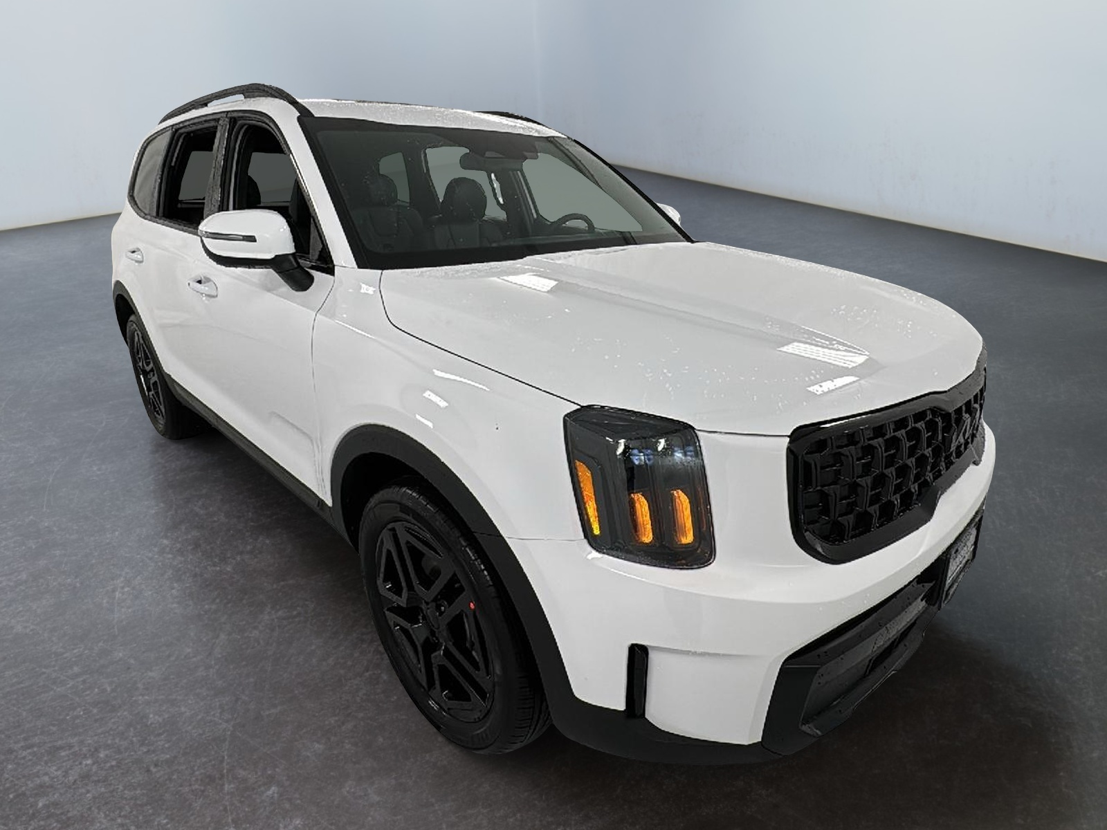 2025 Kia Telluride EX X-Line 1