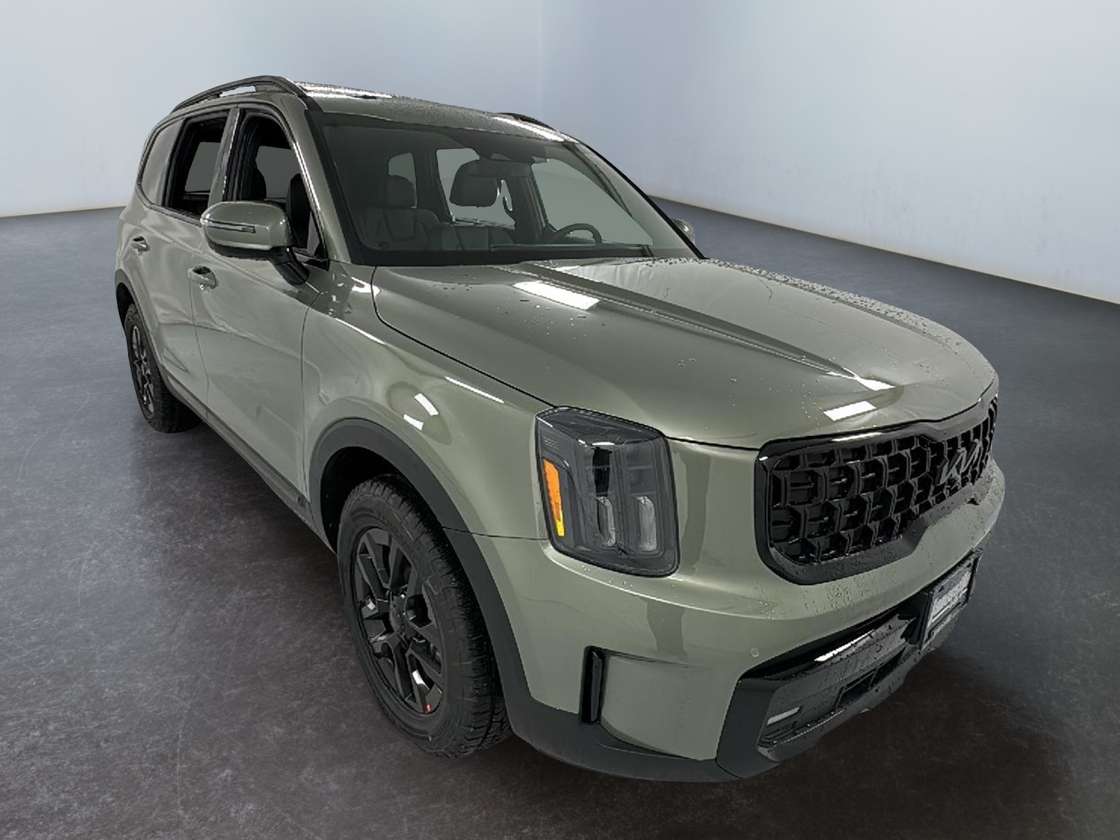 2025 Kia Telluride SX-Prestige X-Pro 1