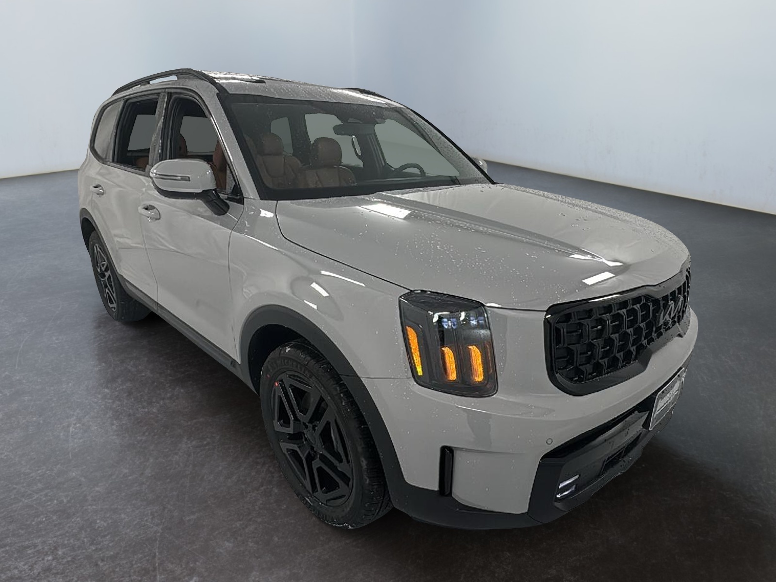 2025 Kia Telluride SX X-Line 1