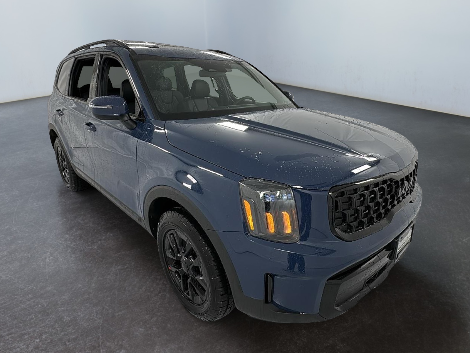 2025 Kia Telluride EX 1