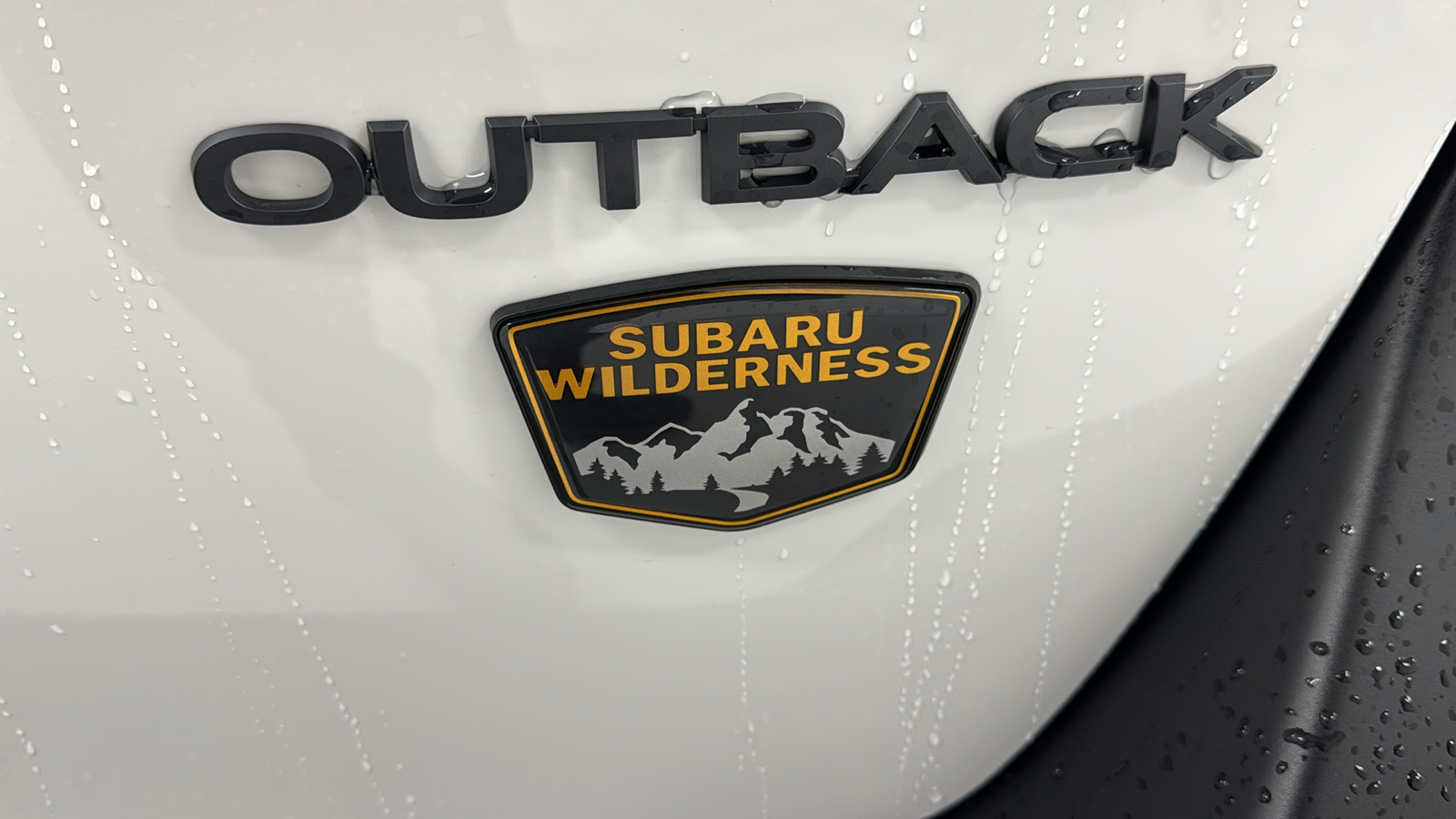 2025 Subaru Outback Wilderness 34