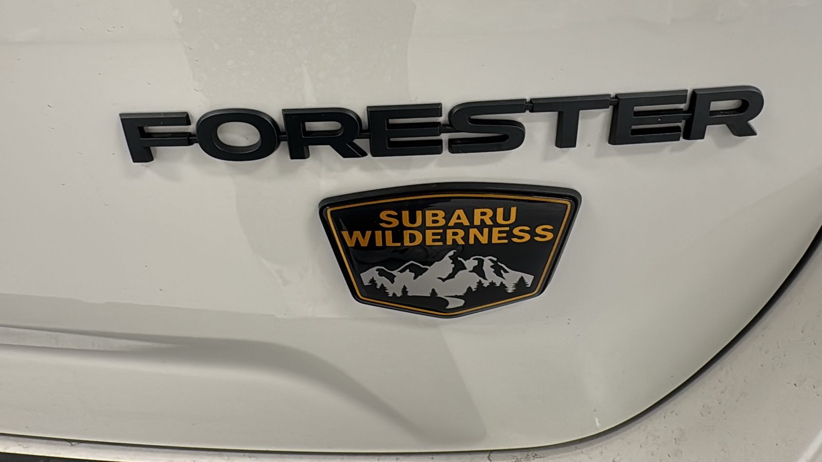 2024 Subaru Forester Wilderness 36