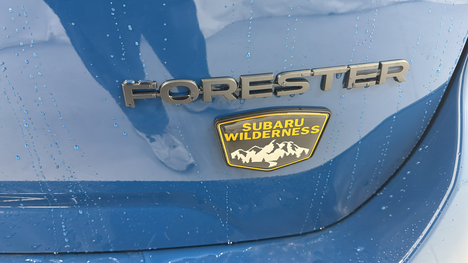 2024 Subaru Forester Wilderness 36