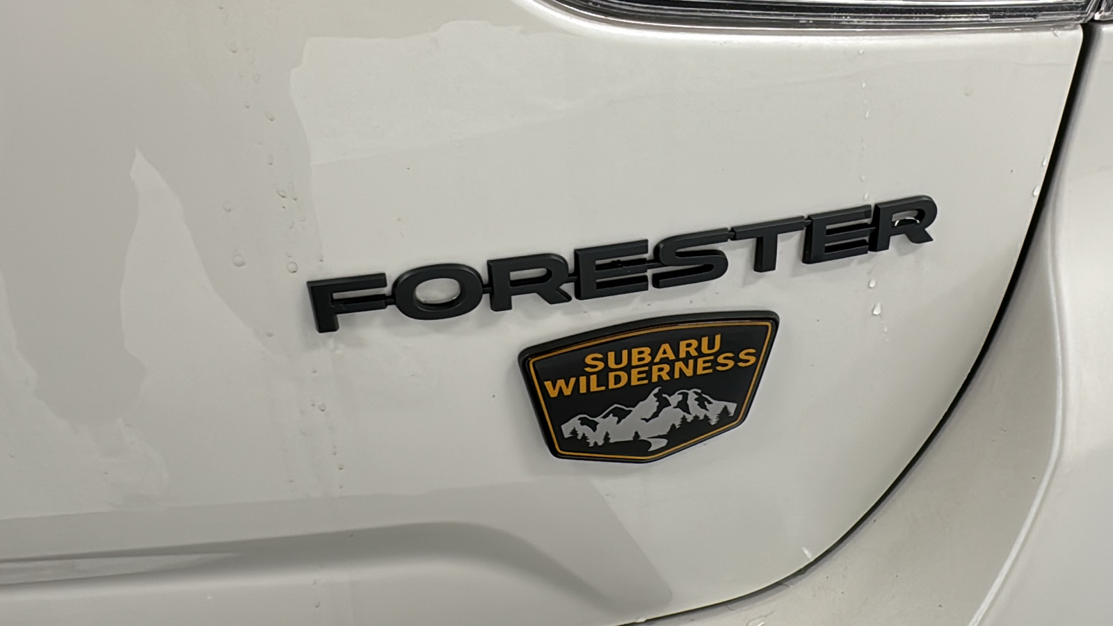 2024 Subaru Forester Wilderness 37