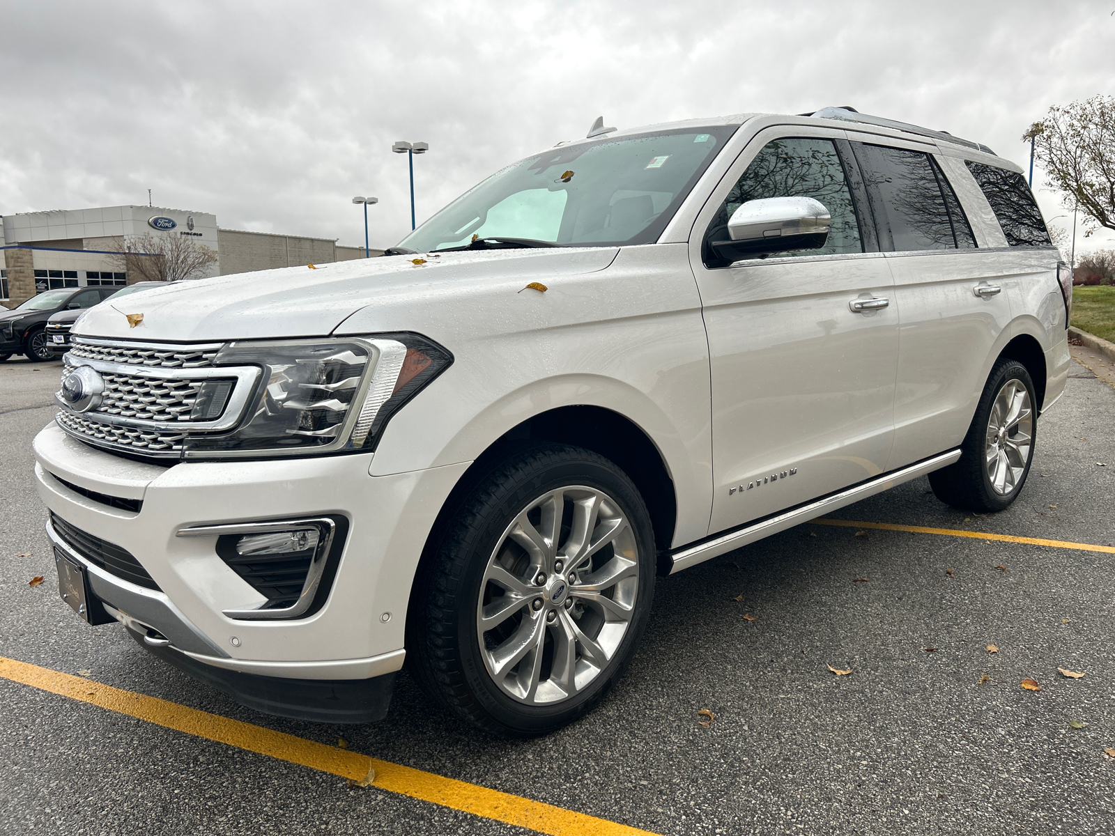 2019 Ford Expedition Platinum 7