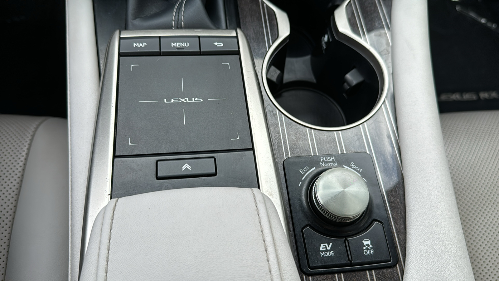 2020 Lexus RX 450hL 29
