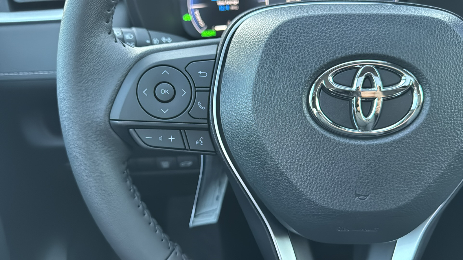 2024 Toyota RAV4 Hybrid Limited 19