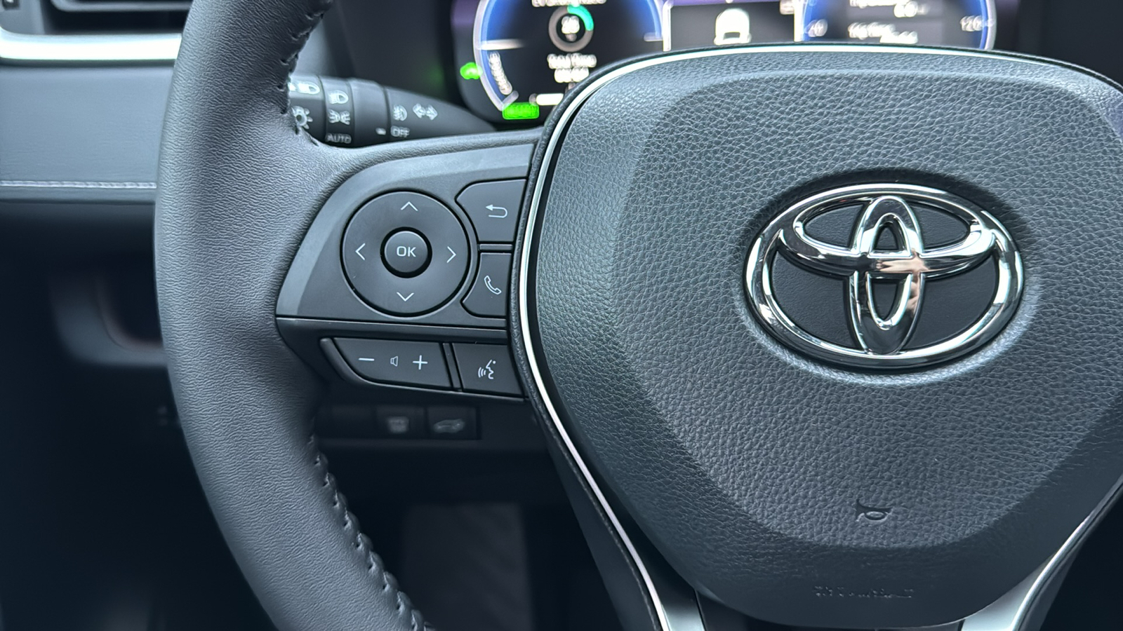 2024 Toyota RAV4 Hybrid Limited 19