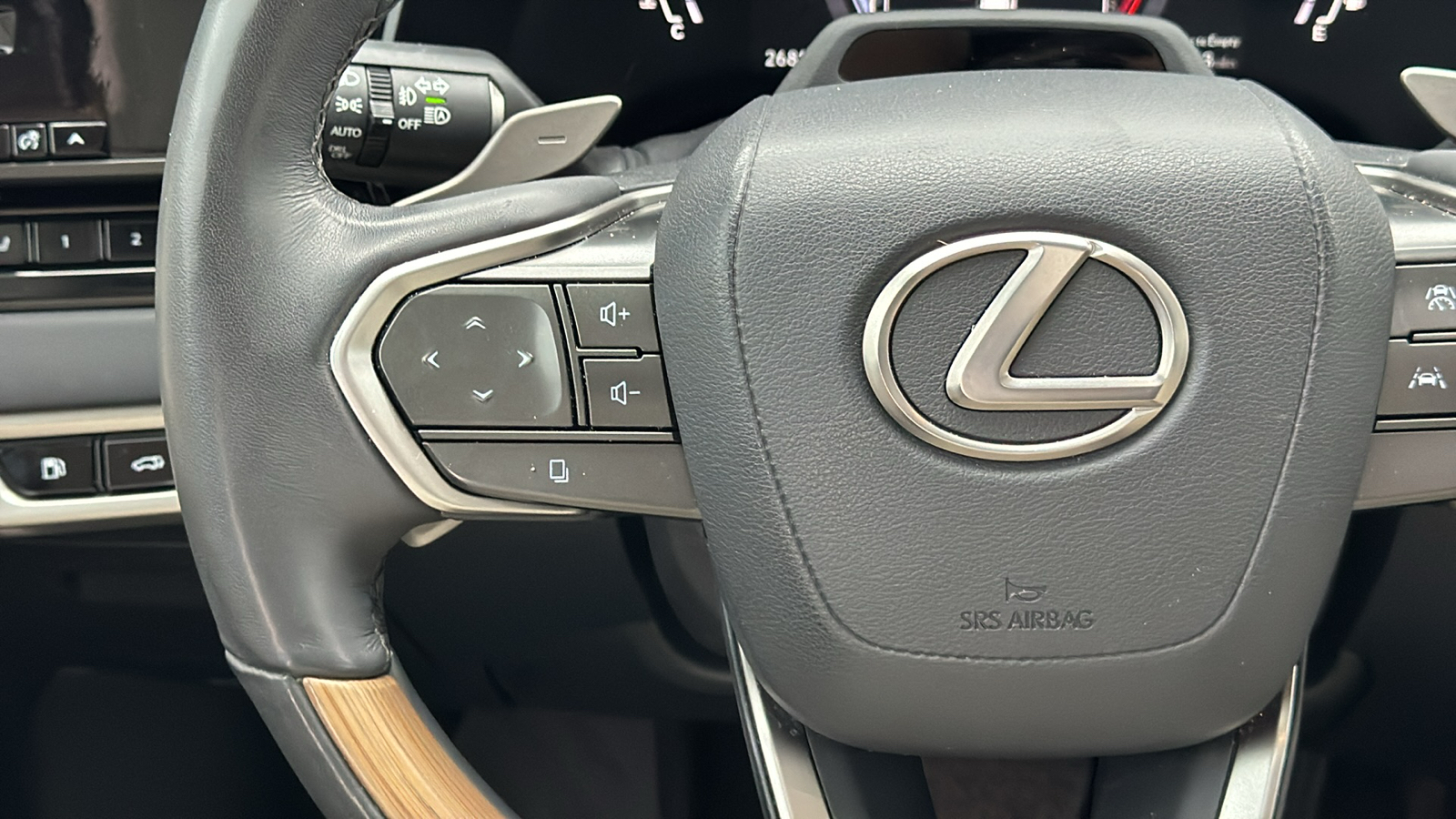 2023 Lexus RX 350 31