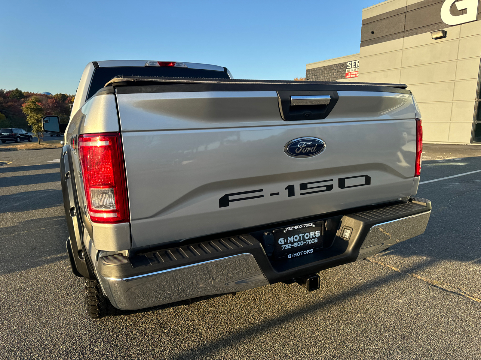 2015 Ford F-150  6