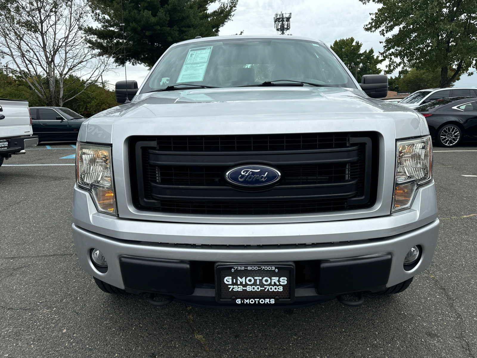 2013 Ford F-150  15