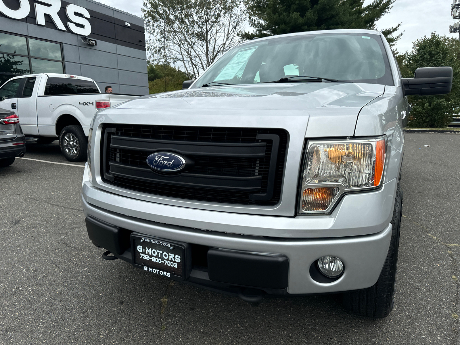 2013 Ford F-150  16