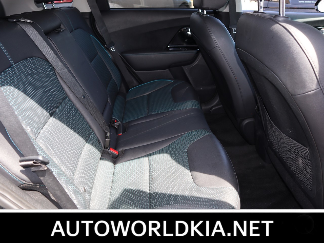 2020 Kia Niro EV EX Premium 19
