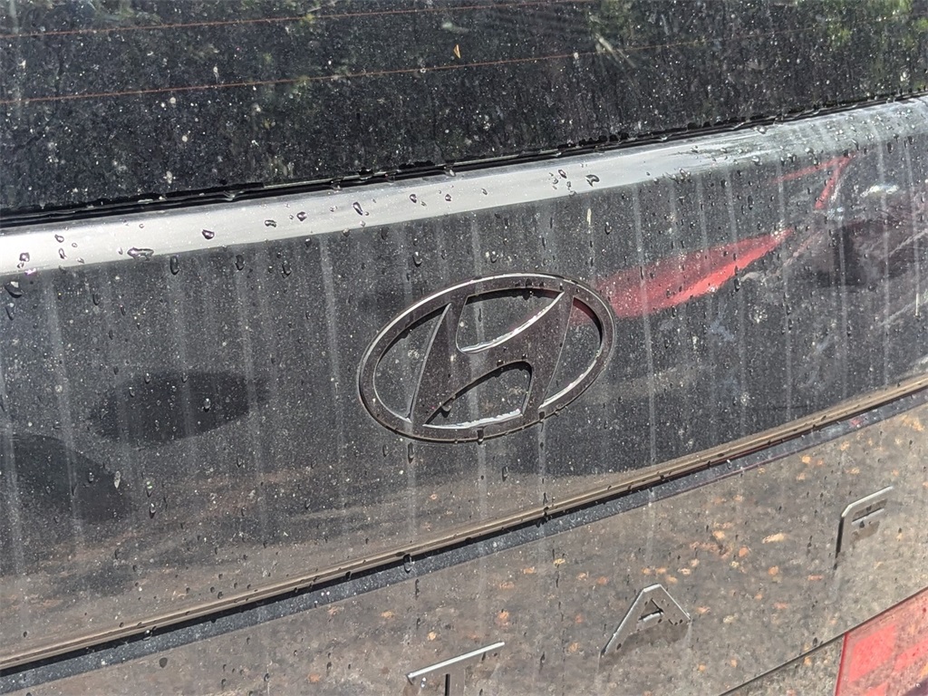 2024 Hyundai Santa Fe Calligraphy 6