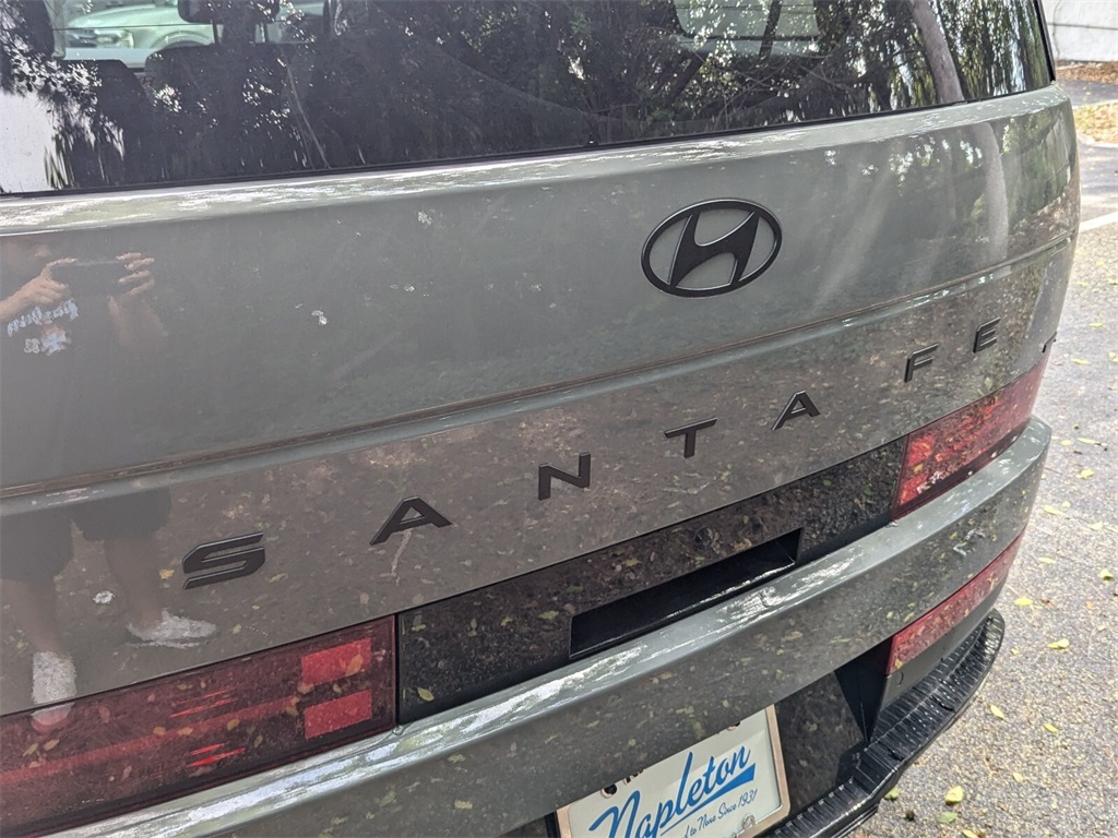 2024 Hyundai Santa Fe Calligraphy 6