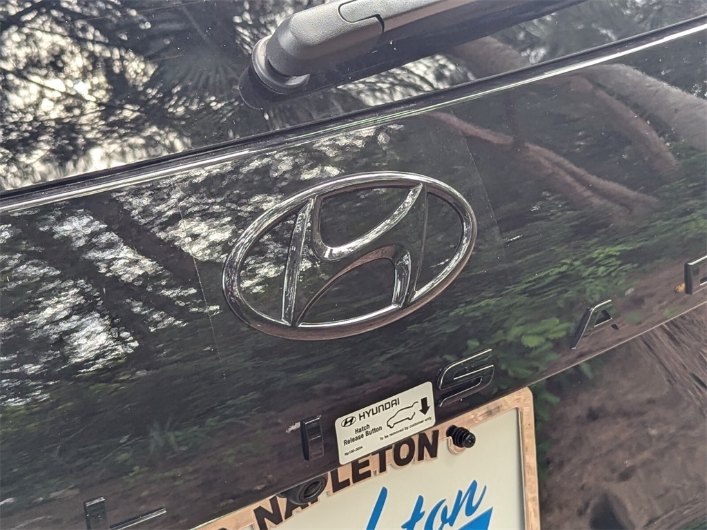 2025 Hyundai Palisade Calligraphy Night Edition 6