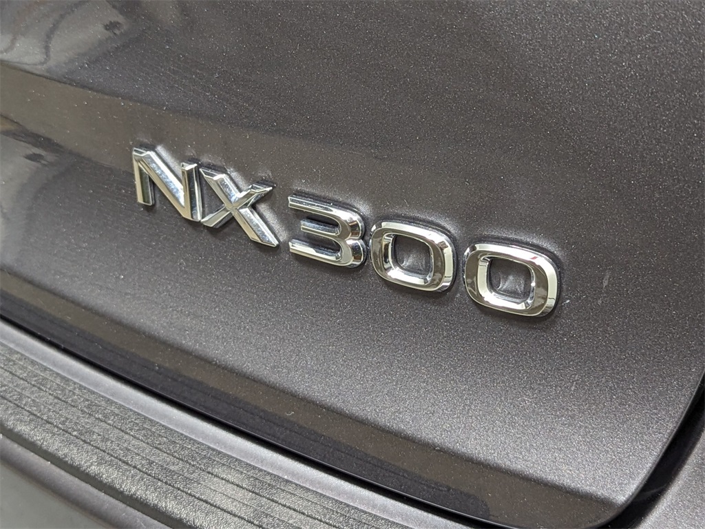 2021 Lexus NX 300 Base 4