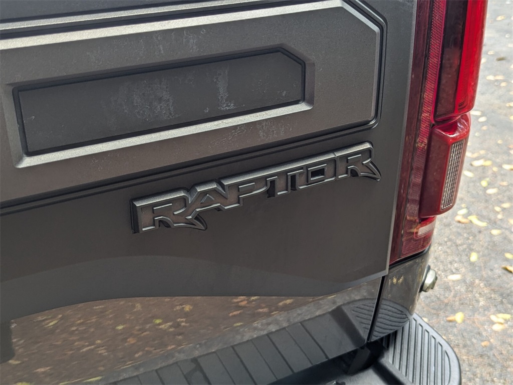 2019 Ford F-150 Raptor 8