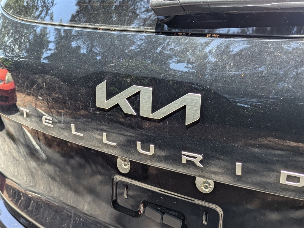 2024 Kia Telluride SX 6