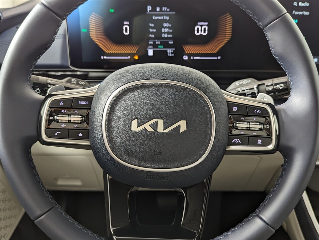 2025 Kia Carnival EX 17