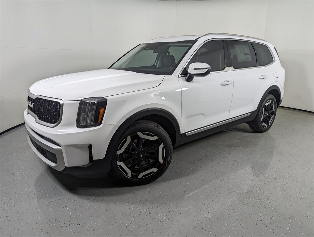 2025 Kia Telluride EX 3