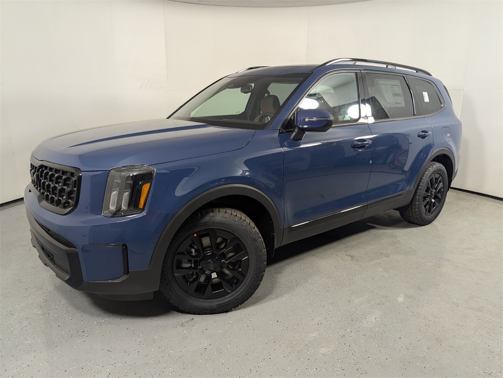 2025 Kia Telluride EX 3